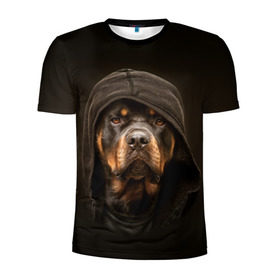 Мужская футболка 3D спортивная с принтом Ротвейлер в капюшоне в Санкт-Петербурге, 100% полиэстер с улучшенными характеристиками | приталенный силуэт, круглая горловина, широкие плечи, сужается к линии бедра | Тематика изображения на принте: rottweiler | капюшон | молоссы | пастух | пёс | собака | щенок
