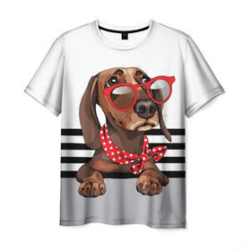 Мужская футболка 3D с принтом Такса в очках в Санкт-Петербурге, 100% полиэфир | прямой крой, круглый вырез горловины, длина до линии бедер | animal | black | breed | dachshund | dog | domestic | drawing | gra | polka | red | shawl | stripes | white | белый | горошек | графика | домашняя | животное | красный | надпись | очки | платок | полосы | порода | рисунок | собака | такса | текс