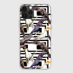 Чехол для iPhone 12 Pro Max с принтом Попугаи какаду в Санкт-Петербурге, Силикон |  | birds | bri | cockatoo | exotic | jungle | palm | parrots | tropical | акварель | геометрический | графика | джунгли | иллюстрация | картинка | мода | молодежная | орнамент | пальмы | попугаи | птицы | рисунок | стиль