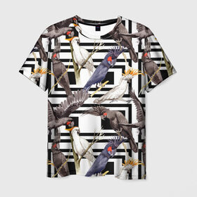 Мужская футболка 3D с принтом Попугаи какаду в Санкт-Петербурге, 100% полиэфир | прямой крой, круглый вырез горловины, длина до линии бедер | birds | bri | cockatoo | exotic | jungle | palm | parrots | tropical | акварель | геометрический | графика | джунгли | иллюстрация | картинка | мода | молодежная | орнамент | пальмы | попугаи | птицы | рисунок | стиль