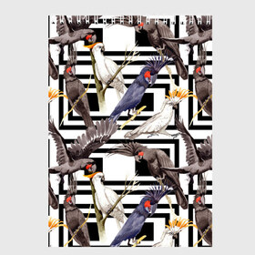 Скетчбук с принтом Попугаи какаду в Санкт-Петербурге, 100% бумага
 | 48 листов, плотность листов — 100 г/м2, плотность картонной обложки — 250 г/м2. Листы скреплены сверху удобной пружинной спиралью | birds | bri | cockatoo | exotic | jungle | palm | parrots | tropical | акварель | геометрический | графика | джунгли | иллюстрация | картинка | мода | молодежная | орнамент | пальмы | попугаи | птицы | рисунок | стиль