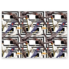Поздравительная открытка с принтом Попугаи какаду в Санкт-Петербурге, 100% бумага | плотность бумаги 280 г/м2, матовая, на обратной стороне линовка и место для марки
 | Тематика изображения на принте: birds | bri | cockatoo | exotic | jungle | palm | parrots | tropical | акварель | геометрический | графика | джунгли | иллюстрация | картинка | мода | молодежная | орнамент | пальмы | попугаи | птицы | рисунок | стиль