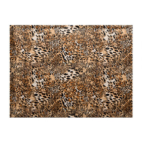 Обложка для студенческого билета с принтом Леопард в Санкт-Петербурге, натуральная кожа | Размер: 11*8 см; Печать на всей внешней стороне | camouflage | cat | disguise | fashion | illustration | jungle | leopard | predator | skin | spots | style | wild | youth | графика | джунгли | дикий | иллюстрация | камуфляж | картинка | кошка | леопард | маскировка | мода | молодежная | пятна | рисунок |