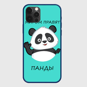 Чехол для iPhone 12 Pro Max с принтом ПАНДА в Санкт-Петербурге, Силикон |  | bear | panda | the world is ruled by pandas | животное | медведь | мир | панда | правят панды | приветы | просто красавчик