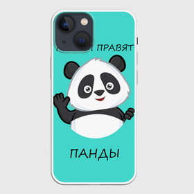 Чехол для iPhone 13 mini с принтом ПАНДА в Санкт-Петербурге,  |  | bear | panda | the world is ruled by pandas | животное | медведь | мир | панда | правят панды | приветы | просто красавчик