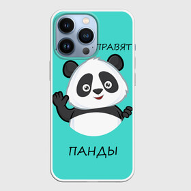 Чехол для iPhone 13 Pro с принтом ПАНДА в Санкт-Петербурге,  |  | bear | panda | the world is ruled by pandas | животное | медведь | мир | панда | правят панды | приветы | просто красавчик