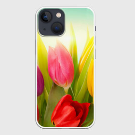 Чехол для iPhone 13 mini с принтом Тюльпаны в Санкт-Петербурге,  |  | бабушке | девочке | девушке | дочке | желтые цветы | женщине | маме | подруге | природа | розовые цветы | розы | сестре | теще | тюльпаны | цветы