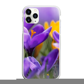 Чехол для iPhone 11 Pro матовый с принтом Фиолетовые цветы в Санкт-Петербурге, Силикон |  | бабушке | девочке | девушке | дочке | желтые цветы | женщине | маме | подруге | природа | розовые цветы | розы | сестре | теще | тюльпаны | цветы