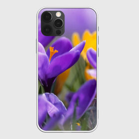 Чехол для iPhone 12 Pro Max с принтом Фиолетовые цветы в Санкт-Петербурге, Силикон |  | бабушке | девочке | девушке | дочке | желтые цветы | женщине | маме | подруге | природа | розовые цветы | розы | сестре | теще | тюльпаны | цветы