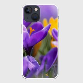 Чехол для iPhone 13 mini с принтом Фиолетовые цветы в Санкт-Петербурге,  |  | бабушке | девочке | девушке | дочке | желтые цветы | женщине | маме | подруге | природа | розовые цветы | розы | сестре | теще | тюльпаны | цветы