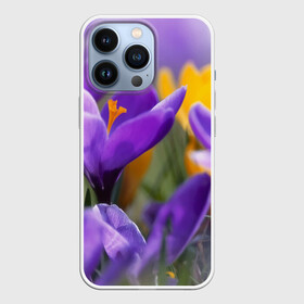 Чехол для iPhone 13 Pro с принтом Фиолетовые цветы в Санкт-Петербурге,  |  | Тематика изображения на принте: бабушке | девочке | девушке | дочке | желтые цветы | женщине | маме | подруге | природа | розовые цветы | розы | сестре | теще | тюльпаны | цветы