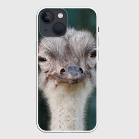 Чехол для iPhone 13 mini с принтом Подозрительный страус в Санкт-Петербурге,  |  | lol | глаза | голова | детям | животные | зеленая | лол | подарок | подмигивает | подозрительно | прикольная | природа | смешная | страус | эмоции | юмор