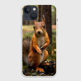 Чехол для iPhone 13 с принтом Белочка в Санкт-Петербурге,  |  | белка | веселая | весна | глаза | грызун | деревья | зверек | зверь | зеленая | зелень | классная | лес | лето | новинка | осень | пенек | позирует | прикольная | природа | пушистая | рыжая | семечки | фото