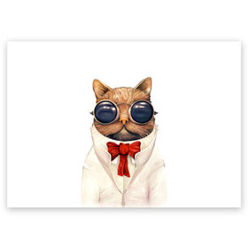 Поздравительная открытка с принтом Кот в Санкт-Петербурге, 100% бумага | плотность бумаги 280 г/м2, матовая, на обратной стороне линовка и место для марки
 | бабочка | в очках | киса | киска | костюм | котейка | котенок | котэ | котя | кошка | крутой | модный | стиль | ученый