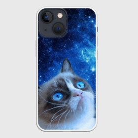 Чехол для iPhone 13 mini с принтом Сердитый кот в космосе в Санкт-Петербурге,  |  | grumpy cat | космос | кот | кот в космосе | кот мем | кошка | кошка мем | мем кот | сердитый кот | синий кот