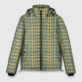 Мужская зимняя куртка 3D с принтом Billie Eilish в Санкт-Петербурге, верх — 100% полиэстер; подкладка — 100% полиэстер; утеплитель — 100% полиэстер | длина ниже бедра, свободный силуэт Оверсайз. Есть воротник-стойка, отстегивающийся капюшон и ветрозащитная планка. 

Боковые карманы с листочкой на кнопках и внутренний карман на молнии. | ailish | billi | billie eilish | bury a friend | copycat | crown | dont smile at me | lovely | music | my boy | party favor | pop | били | билли айлиш | музыка | певица | поп | эйлиш