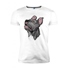 Мужская футболка премиум с принтом Pitbull в Санкт-Петербурге, 92% хлопок, 8% лайкра | приталенный силуэт, круглый вырез ворота, длина до линии бедра, короткий рукав | dog | pitbull | питбуль | собака | собаки