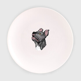 Тарелка 3D с принтом Pitbull в Санкт-Петербурге, фарфор | диаметр - 210 мм
диаметр для нанесения принта - 120 мм | dog | pitbull | питбуль | собака | собаки
