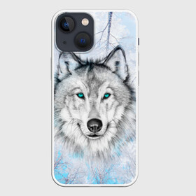 Чехол для iPhone 13 mini с принтом Волк в Санкт-Петербурге,  |  | Тематика изображения на принте: берёзы | волчара | глаза | зима | лес | матёрый | небо | собака | хищник