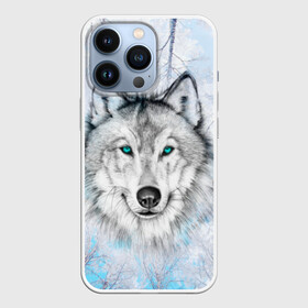 Чехол для iPhone 13 Pro с принтом Волк в Санкт-Петербурге,  |  | Тематика изображения на принте: берёзы | волчара | глаза | зима | лес | матёрый | небо | собака | хищник