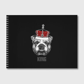Альбом для рисования с принтом Английский бульдог с короной в Санкт-Петербурге, 100% бумага
 | матовая бумага, плотность 200 мг. | Тематика изображения на принте: animals | authority | breed | bulldog | cool | crown | dog | english | fighting | head | illustration | inscription | king | muzzle | supreme | swag | авторитет | английский | бойцовый | бульдог | верховный | голова | животные | иллюстрация | король | кор