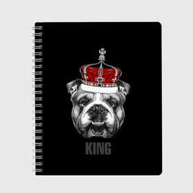 Тетрадь с принтом Английский бульдог с короной в Санкт-Петербурге, 100% бумага | 48 листов, плотность листов — 60 г/м2, плотность картонной обложки — 250 г/м2. Листы скреплены сбоку удобной пружинной спиралью. Уголки страниц и обложки скругленные. Цвет линий — светло-серый
 | animals | authority | breed | bulldog | cool | crown | dog | english | fighting | head | illustration | inscription | king | muzzle | supreme | swag | авторитет | английский | бойцовый | бульдог | верховный | голова | животные | иллюстрация | король | кор