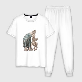 Мужская пижама хлопок с принтом Сфинксы в Санкт-Петербурге, 100% хлопок | брюки и футболка прямого кроя, без карманов, на брюках мягкая резинка на поясе и по низу штанин
 | котик | коты | кошка | прикольный принт | принт на футболке | сфинксы | татуированные коты | татуированные сфинксы