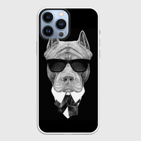 Чехол для iPhone 13 Pro Max с принтом Питбуль в Санкт-Петербурге,  |  | animals | black | black and white | cool | dog | fight | gentleman | head | illustration | pitbull | swag | white | авторитет | белая | бойцовый | галстук бабочка | голова | джентльмен | животные | иллюстрация | костюм | крутой | очки | 