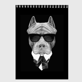 Скетчбук с принтом Питбуль в Санкт-Петербурге, 100% бумага
 | 48 листов, плотность листов — 100 г/м2, плотность картонной обложки — 250 г/м2. Листы скреплены сверху удобной пружинной спиралью | animals | black | black and white | cool | dog | fight | gentleman | head | illustration | pitbull | swag | white | авторитет | белая | бойцовый | галстук бабочка | голова | джентльмен | животные | иллюстрация | костюм | крутой | очки | 