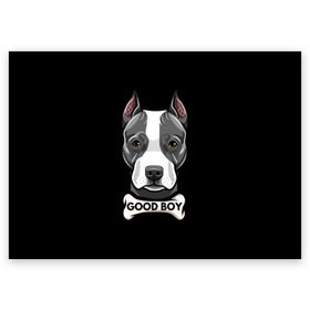 Поздравительная открытка с принтом Стаффордширский терьер в Санкт-Петербурге, 100% бумага | плотность бумаги 280 г/м2, матовая, на обратной стороне линовка и место для марки
 | animal | bone | breed | dog | fight | head | inscription | look | muzzle | staffordshire | terrier | бойцовая | взгляд | голова | животное | кость | надпись | порода | собака | стаффордширский | терьер
