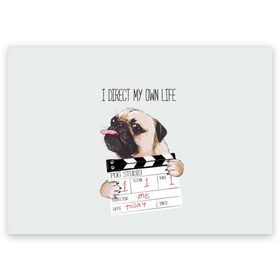 Поздравительная открытка с принтом I direct my own life в Санкт-Петербурге, 100% бумага | плотность бумаги 280 г/м2, матовая, на обратной стороне линовка и место для марки
 | animal | board | direct | dog | his | i | life | pug | slate | the inscription | грифельная | доска | животное | жизнь | мопс | надпись | направляю | свою | собака | я