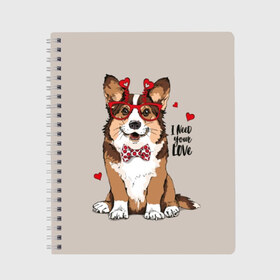 Тетрадь с принтом I need your love в Санкт-Петербурге, 100% бумага | 48 листов, плотность листов — 60 г/м2, плотность картонной обложки — 250 г/м2. Листы скреплены сбоку удобной пружинной спиралью. Уголки страниц и обложки скругленные. Цвет линий — светло-серый
 | animal | bow tie | breed | corgi | cute | dog | funny | hearts | holiday | pembroke | polka dot | red | saint | valentine | валентина | вельш корги | галстук бабочка | горошек | день | животное | красный | любовь | милая | очки | пемброк | пород