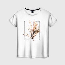 Женская футболка 3D с принтом Pinus Sylvestris в Санкт-Петербурге, 100% полиэфир ( синтетическое хлопкоподобное полотно) | прямой крой, круглый вырез горловины, длина до линии бедер | абстракция | авторская работа | ботаническая иллюстрация | деревья | иллюстрации | минимализм | сосна | цветы