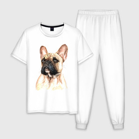 Мужская пижама хлопок с принтом Французский бульдог в Санкт-Петербурге, 100% хлопок | брюки и футболка прямого кроя, без карманов, на брюках мягкая резинка на поясе и по низу штанин
 | Тематика изображения на принте: bulldog | dog | бульдог | собака | собаки | французский бульдог