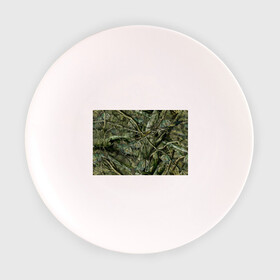 Тарелка с принтом Лесной камуфляж в Санкт-Петербурге, фарфор | диаметр - 210 мм
диаметр для нанесения принта - 120 мм | Тематика изображения на принте: камуфляж | лесной камуфляж