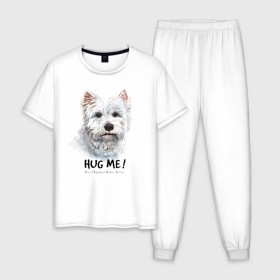 Мужская пижама хлопок с принтом Вест-хайленд-уайт-терьер в Санкт-Петербурге, 100% хлопок | брюки и футболка прямого кроя, без карманов, на брюках мягкая резинка на поясе и по низу штанин
 | dog | highland | terrier | west | white | вест | собака | собаки | терьер | уайт | хайленд