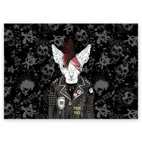Поздравительная открытка с принтом Кот в косухе в Санкт-Петербурге, 100% бумага | плотность бумаги 280 г/м2, матовая, на обратной стороне линовка и место для марки
 | anarchy | breed | cat | clothes | cool | hairstyle | icon | jacket | kote | mohawk | muzzle | piercing | punk | riveting | rock | skull | sphinx | spikes | tattoo | анархия | значок | ирокез | к | клепки | кот | котик | котэ | круто | куртка | оде