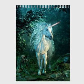 Скетчбук с принтом Единорог в Санкт-Петербурге, 100% бумага
 | 48 листов, плотность листов — 100 г/м2, плотность картонной обложки — 250 г/м2. Листы скреплены сверху удобной пружинной спиралью | animal | beautiful | blue | fantasy | green | hooves | horn | horse | magi | mushrooms | nature | night | unicorn | white | белый | волшебство | грибы | грива | единорог | животное | зеленый | иллюстрация | копыта | лес | лошадь | мифология | но