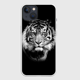 Чехол для iPhone 13 с принтом Тигр в Санкт-Петербурге,  |  | animal | beautiful | black | cool | fangs | fauna | mustache | muzzle | nature | photo | predator | striped | tiger | view | white | wild | wool | белый | взгляд | дикий | животное | клыки | красивый | круто | полосатый | природа | тигр | усы | фа