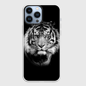 Чехол для iPhone 13 Pro Max с принтом Тигр в Санкт-Петербурге,  |  | animal | beautiful | black | cool | fangs | fauna | mustache | muzzle | nature | photo | predator | striped | tiger | view | white | wild | wool | белый | взгляд | дикий | животное | клыки | красивый | круто | полосатый | природа | тигр | усы | фа