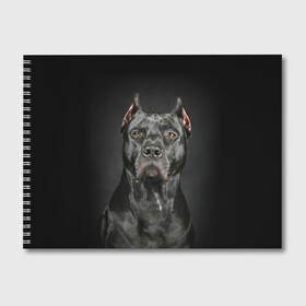 Альбом для рисования с принтом Питбуль в Санкт-Петербурге, 100% бумага
 | матовая бумага, плотность 200 мг. | animal | black | breed | bull | combat | dog | ears | eyes | image | muzzle | nose | pit bull | portrait | боевой | бугай | глаза | животное | изображение | нос | пес | питбуль | порода | портрет | псина | собака | уши | черный