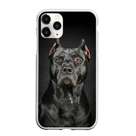 Чехол для iPhone 11 Pro Max матовый с принтом Питбуль в Санкт-Петербурге, Силикон |  | animal | black | breed | bull | combat | dog | ears | eyes | image | muzzle | nose | pit bull | portrait | боевой | бугай | глаза | животное | изображение | нос | пес | питбуль | порода | портрет | псина | собака | уши | черный