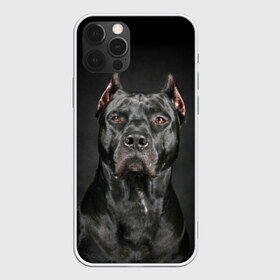 Чехол для iPhone 12 Pro Max с принтом Питбуль в Санкт-Петербурге, Силикон |  | animal | black | breed | bull | combat | dog | ears | eyes | image | muzzle | nose | pit bull | portrait | боевой | бугай | глаза | животное | изображение | нос | пес | питбуль | порода | портрет | псина | собака | уши | черный