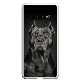 Чехол для Samsung Galaxy S10 с принтом Питбуль в Санкт-Петербурге, Силикон | Область печати: задняя сторона чехла, без боковых панелей | animal | black | breed | bull | combat | dog | ears | eyes | image | muzzle | nose | pit bull | portrait | боевой | бугай | глаза | животное | изображение | нос | пес | питбуль | порода | портрет | псина | собака | уши | черный