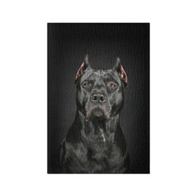 Обложка для паспорта матовая кожа с принтом Питбуль в Санкт-Петербурге, натуральная матовая кожа | размер 19,3 х 13,7 см; прозрачные пластиковые крепления | animal | black | breed | bull | combat | dog | ears | eyes | image | muzzle | nose | pit bull | portrait | боевой | бугай | глаза | животное | изображение | нос | пес | питбуль | порода | портрет | псина | собака | уши | черный