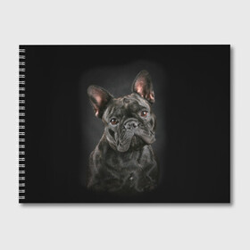 Альбом для рисования с принтом Французский бульдог в Санкт-Петербурге, 100% бумага
 | матовая бумага, плотность 200 мг. | animal | background | beast | black | breed | bulldog | cool | cute | dog | ears | french | jaw | look | muzzle | portrait | wool | бульдог | взгляд | животное | зверь | милый | пёс | порода | портрет | прикольно | псина | собака | уши | фон | фра
