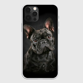 Чехол для iPhone 12 Pro Max с принтом Французский бульдог в Санкт-Петербурге, Силикон |  | animal | background | beast | black | breed | bulldog | cool | cute | dog | ears | french | jaw | look | muzzle | portrait | wool | бульдог | взгляд | животное | зверь | милый | пёс | порода | портрет | прикольно | псина | собака | уши | фон | фра