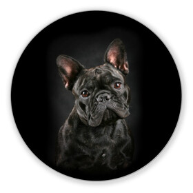 Коврик для мышки круглый с принтом Французский бульдог в Санкт-Петербурге, резина и полиэстер | круглая форма, изображение наносится на всю лицевую часть | animal | background | beast | black | breed | bulldog | cool | cute | dog | ears | french | jaw | look | muzzle | portrait | wool | бульдог | взгляд | животное | зверь | милый | пёс | порода | портрет | прикольно | псина | собака | уши | фон | фра