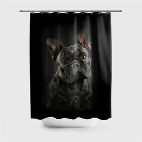 Штора 3D для ванной с принтом Французский бульдог в Санкт-Петербурге, 100% полиэстер | плотность материала — 100 г/м2. Стандартный размер — 146 см х 180 см. По верхнему краю — пластиковые люверсы для креплений. В комплекте 10 пластиковых колец | animal | background | beast | black | breed | bulldog | cool | cute | dog | ears | french | jaw | look | muzzle | portrait | wool | бульдог | взгляд | животное | зверь | милый | пёс | порода | портрет | прикольно | псина | собака | уши | фон | фра