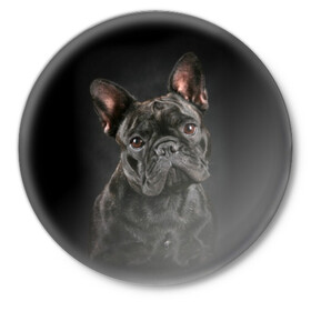 Значок с принтом Французский бульдог в Санкт-Петербурге,  металл | круглая форма, металлическая застежка в виде булавки | animal | background | beast | black | breed | bulldog | cool | cute | dog | ears | french | jaw | look | muzzle | portrait | wool | бульдог | взгляд | животное | зверь | милый | пёс | порода | портрет | прикольно | псина | собака | уши | фон | фра